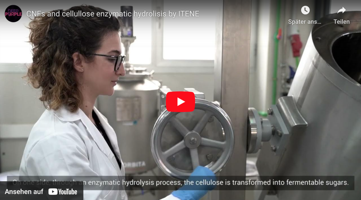 Video about CNFs and cellullose enzymatic hydrolisis by ITENE: on the way from cellulose to polymer